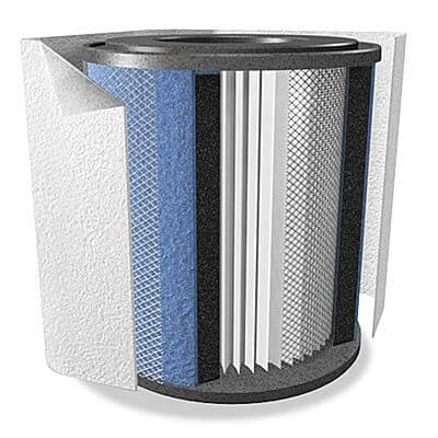 Austin Replacement Filters